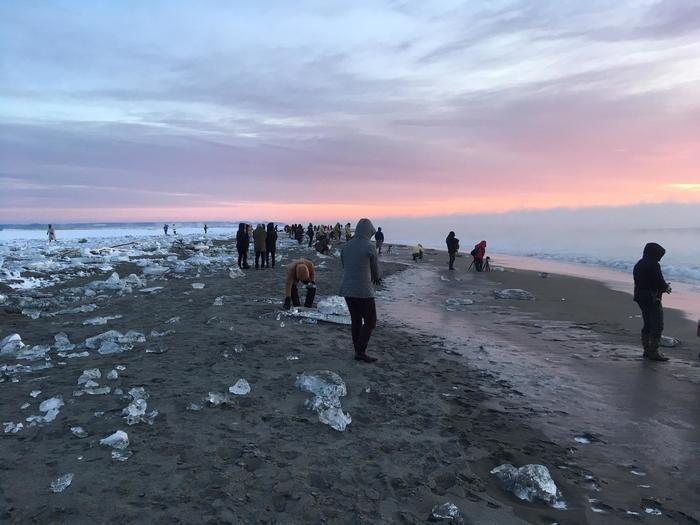 「ここでしか見ることができない」自然が造る宝石が転がっている海岸/北海道ジュエリーアイス