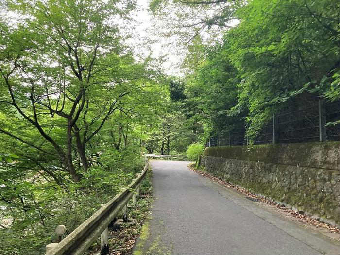 自然と水の綺麗な温泉郷　群馬県・四万温泉