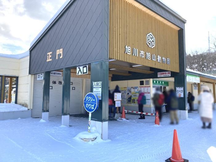 【北海道】冬季目玉イベント「雪の中のペンギンの散歩」！旭山動物園で銀世界の動物たちを楽しもう！