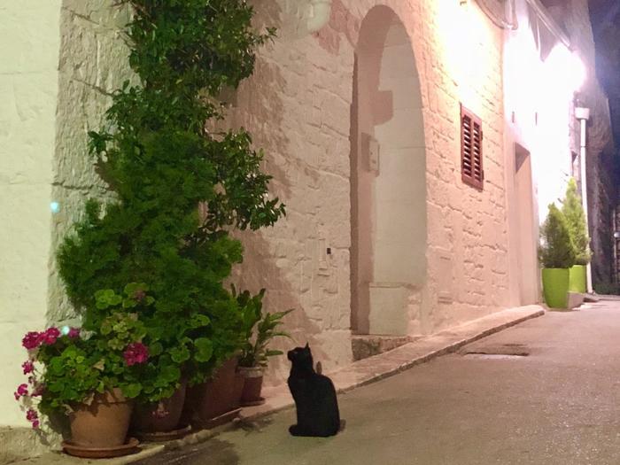 【イタリア】散策は昼だけじゃない！？ 幻想的な夜のアルベロベッロへ！!