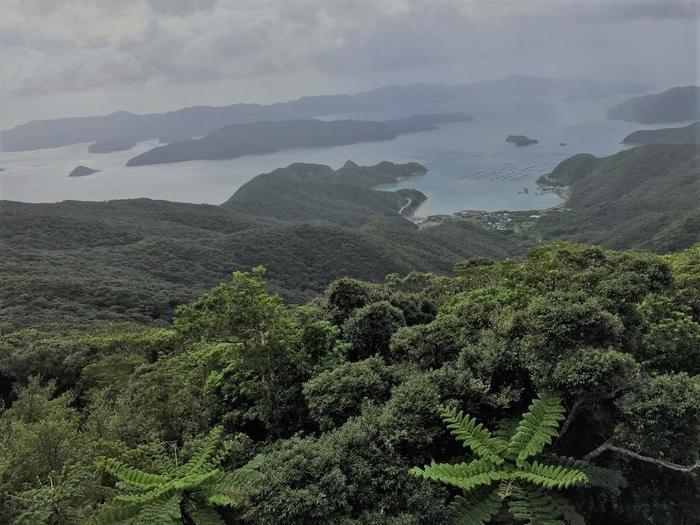 【鹿児島県 奄美大島】リピーター必見！目ん玉飛び出た超美景5選