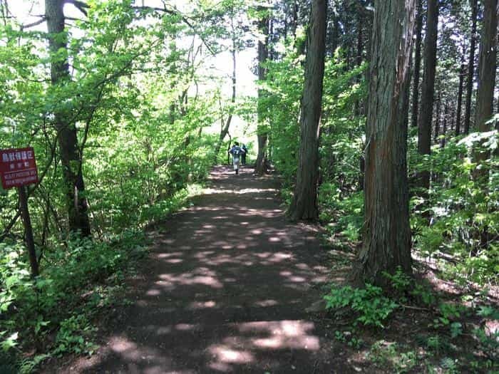 【山登り道】～低山には低山の魅力があるのです③～「奥高尾/陣馬山・景信山」