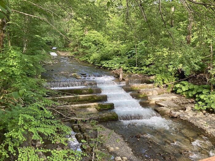 【富良野・山部】北海道で気持ちのいい朝を迎えたい人におすすめの穴場宿「太陽の里」