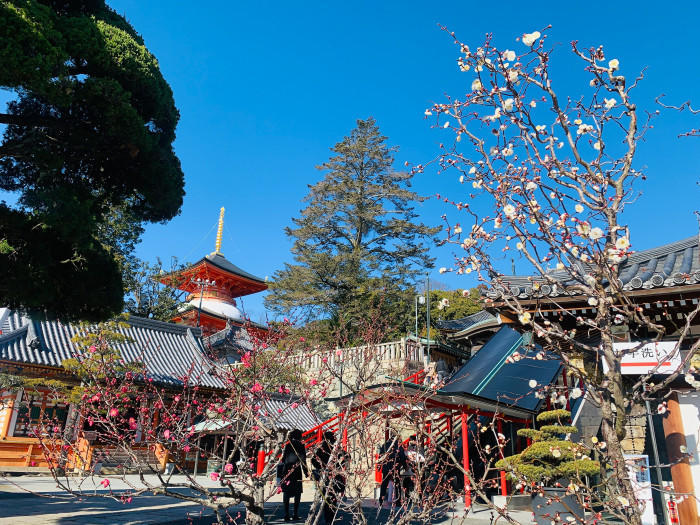 聖徳太子が創建！？安産祈願・子授け祈願、青く輝く五重塔がある「中山寺」で無病息災を祈ろう！！