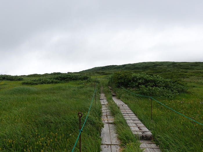 【山形】月山八合目・弥陀ヶ原湿原の歩き方