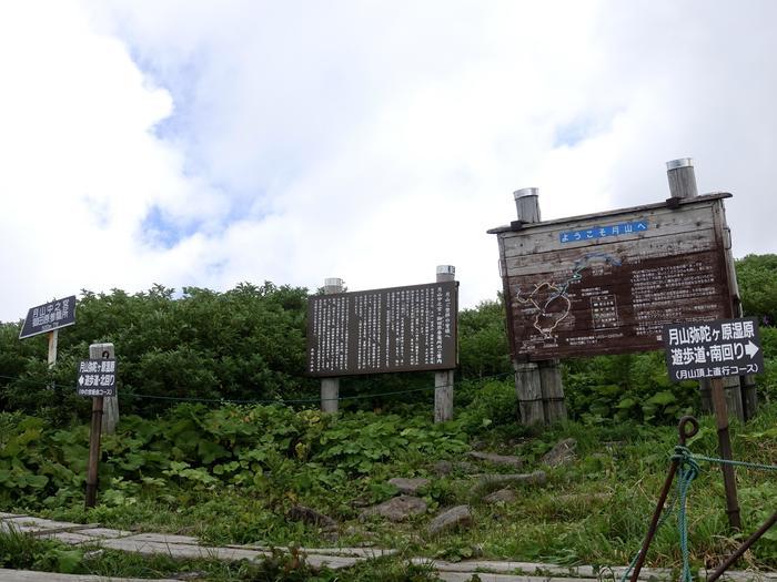 【山形】月山八合目・弥陀ヶ原湿原の歩き方