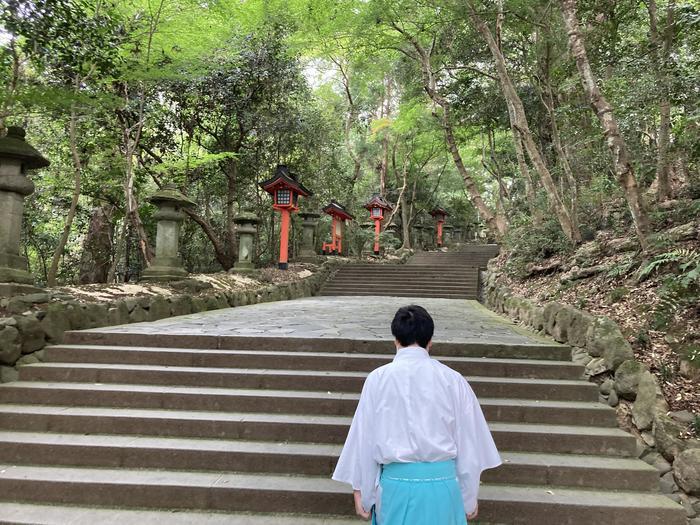 【大分・宇佐神宮】日本に約4万社ある八幡さまの総本宮。森の中の清らかなパワースポット