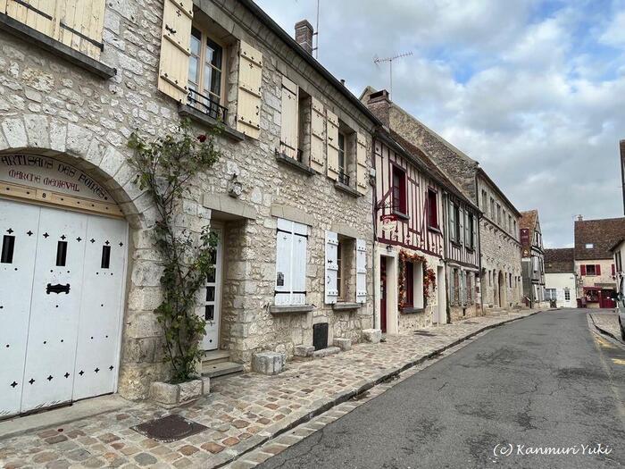 【フランス】最大の中世祭りが催されるバラの町プロヴァン