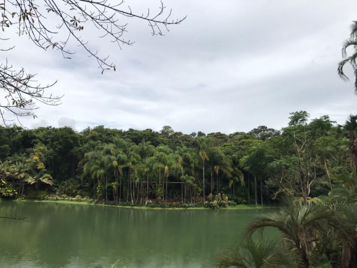ブラジルの巨大野外現代アート美術館、イニョチン