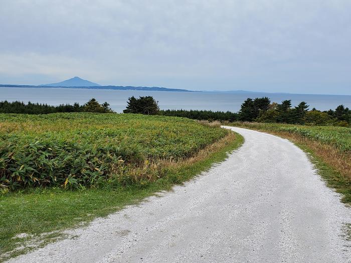 北海道・稚内の「白い道」は絶景が美しすぎる!