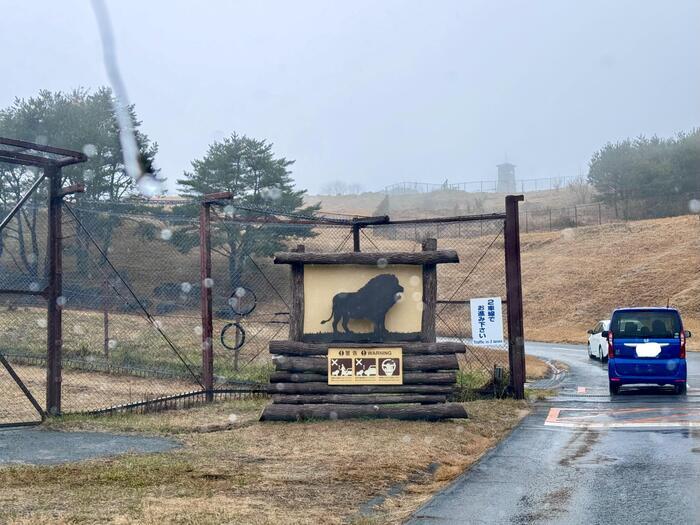 約48年ぶりの訪問！「九州自然動物公園アフリカンサファリ」園内レポート