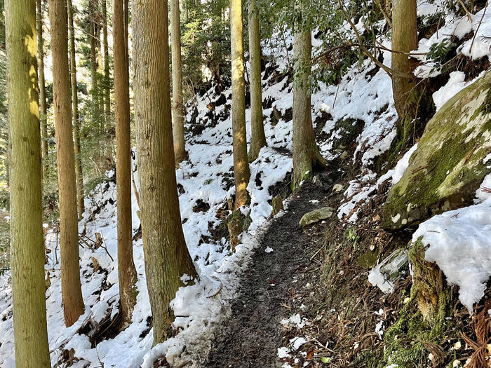 【滋賀】雪山入門編　眺望が素晴らしい綿向山