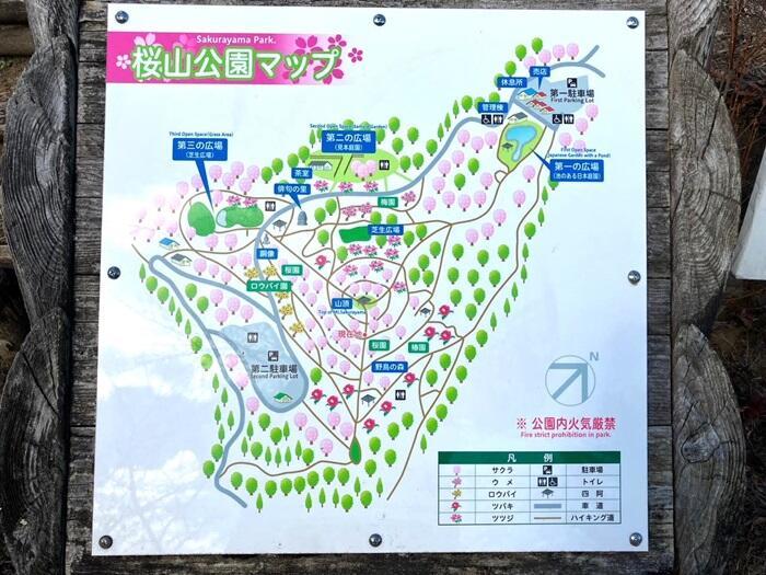 【群馬・藤岡市】桜山公園で森林空間を楽しむセラピー・トレイル体験モニターツアー