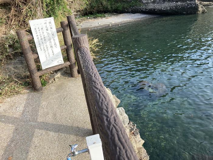 【大分・粟嶋社・真玉海岸・恋叶ロード】鳥居の先に海が見える恋人たちの聖地