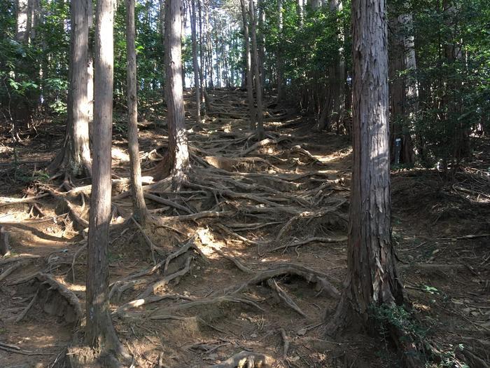 【埼玉・飯能】顔振(かあぶり)峠:義経伝説と渋沢平九郎の悲劇の舞台