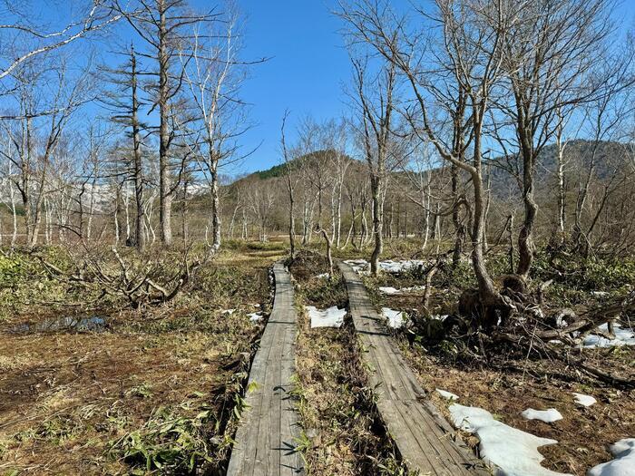 7回目の尾瀬はゴールデンウイーク後半に（群馬・福島）お疲れ様でした！