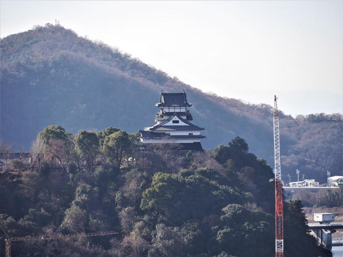 地元で有名な成田山名古屋別院で実際に参拝してみた！！