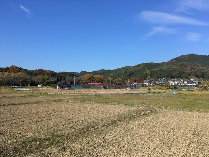 【埼玉県】飯能ハイキング・初心者向けコース（天覧山・多峯主山）