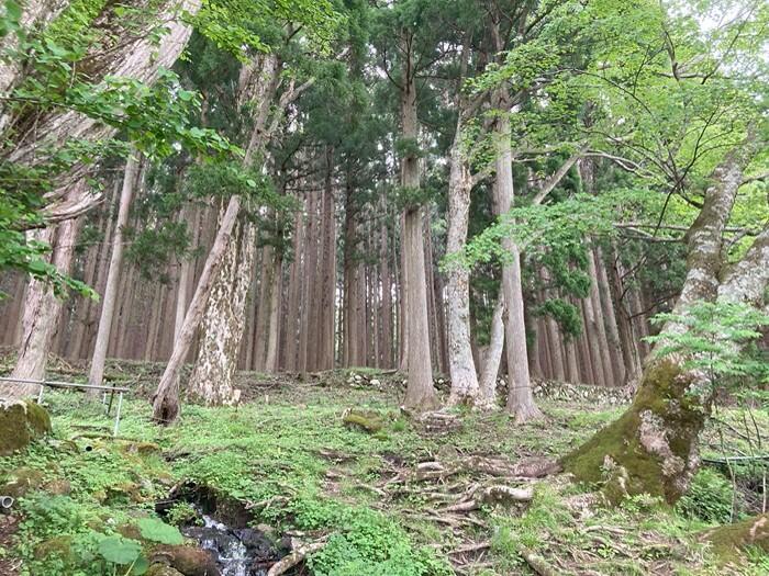 兵庫県の最高峰 氷ノ山を望む棚田とハチ高原オートキャンプ場で自然に浸る