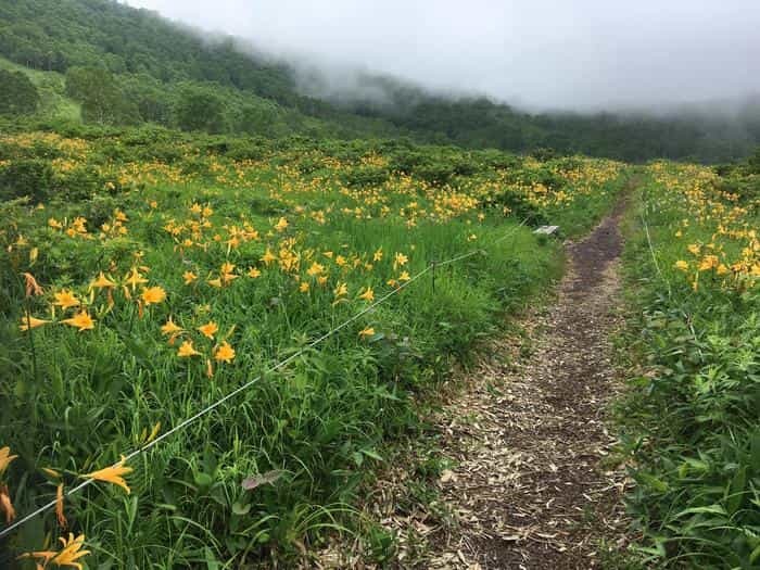 この絶景はどこ？ニュージーランド？北欧？いえいえ群馬県の「野反湖」です。