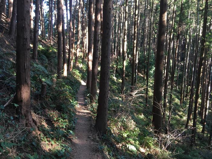 【埼玉・飯能】顔振(かあぶり)峠:義経伝説と渋沢平九郎の悲劇の舞台