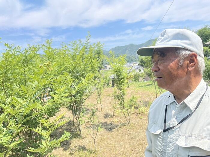 【兵庫県・養父市】400年の歴史を持つ 朝倉山椒 のすごさを知った