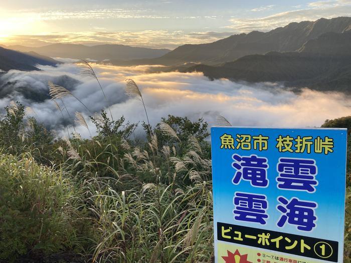 幻想的な雲海の大瀑布！？魚沼「滝雲」の知られざる絶景