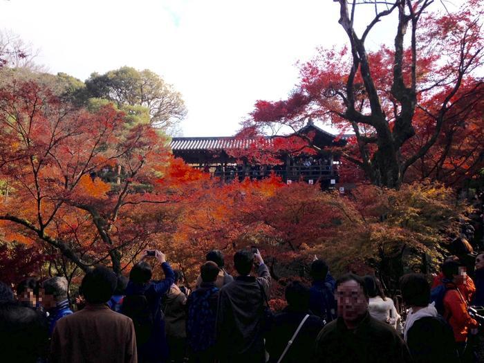 京都　東福寺の紅葉は、やはり圧倒的に美しかった。