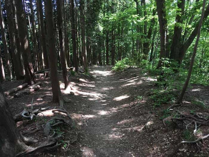 【山登り道】～低山には低山の魅力があるのです③～「奥高尾/陣馬山・景信山」