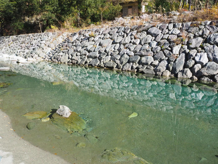 【愛媛県】木の温もりがあるキャンプ場、「石鎚ふれあいの里」を紹介します