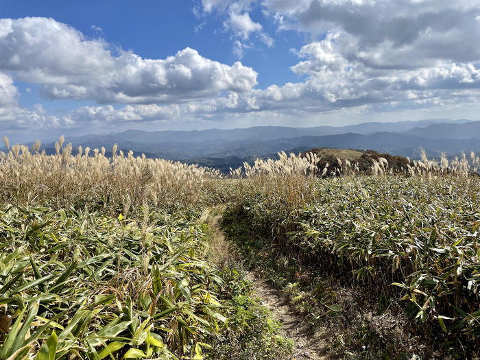 【島根】石見富士「三瓶山」のカルデラを大縦走！