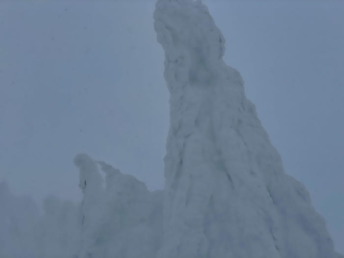 【秋田】日本三大樹氷「森吉山」で見上げる雪の造形美