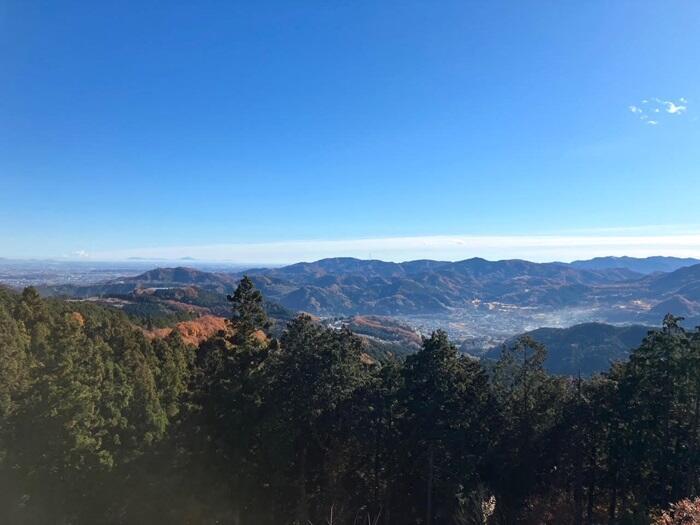 【群馬・藤岡市】桜山公園で森林空間を楽しむセラピー・トレイル体験モニターツアー