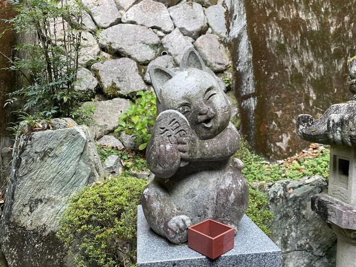 【徳島】猫神様に合格祈願！？「お松大権現」は猫好き必訪のパワースポット