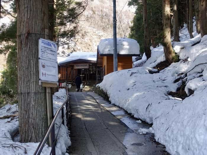 【長野】世界でここだけ！ニホンザルが温泉に入る地獄谷野猿公苑