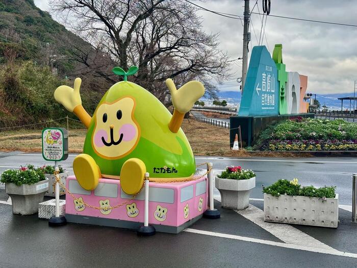 【大分】おサルさんの聖地でこんにちは！高崎山自然動物園