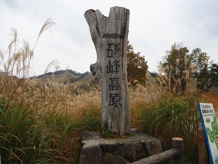 【兵庫県】砥峰（とのみね）高原へ黄金に煌めく「すすき」を見に行ってきました。