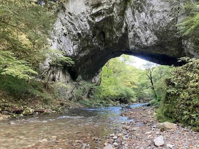 【広島県】思わず深呼吸したくなる町！神石高原町は たくさんの”おいしい●●”がある町だった。