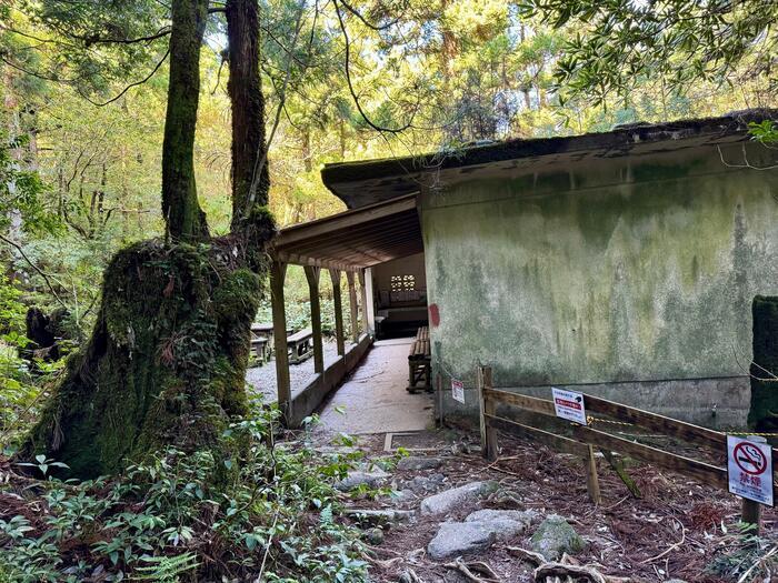 【鹿児島】屋久島の白谷雲水峡に行かれる方へ注意（2024年11月現在）