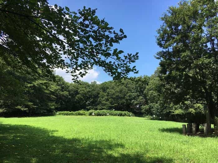 日本で3番目に大きい大仏が東京にあるってホント？？？乗蓮寺「東京大仏」