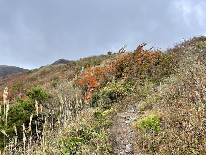 【島根】石見富士「三瓶山」のカルデラを大縦走！