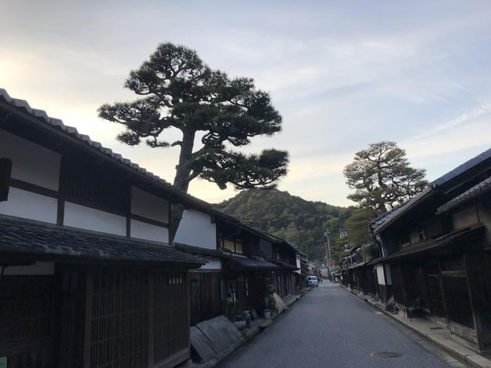 水郷めぐりと八幡山！近江八幡王道の見どころを散策！