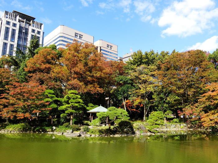 東京／お散歩好きな方必見！都心のど真ん中にこんな緑豊かな場所があるなんて・・・