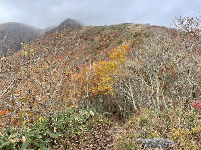 【島根】石見富士「三瓶山」のカルデラを大縦走！