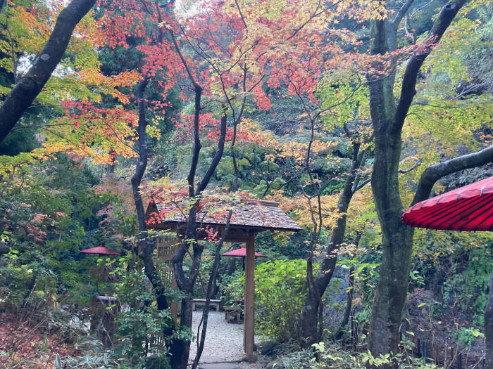 【奥鎌倉】一条恵観山荘で寛永文化に思いを馳せる。のち、ドイツパンとシャルキュトリ。