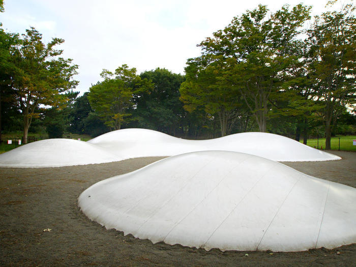 国営ひたち海浜公園の完全ガイド～ネモフィラ・コキア以外の魅力もたっぷり紹介～