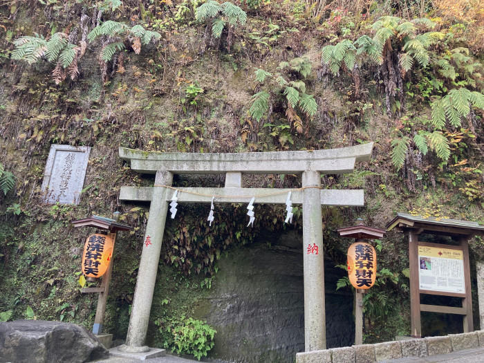 鎌倉ハイキングは冬がおすすめ！初心者でも楽しめるご褒美タイム付きハイキングコースをご紹介