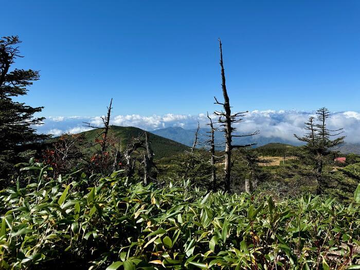 【日本百名山】22座目は西吾妻山...初級者向け？いえいえ結構大変な山でした（山形県・福島県）