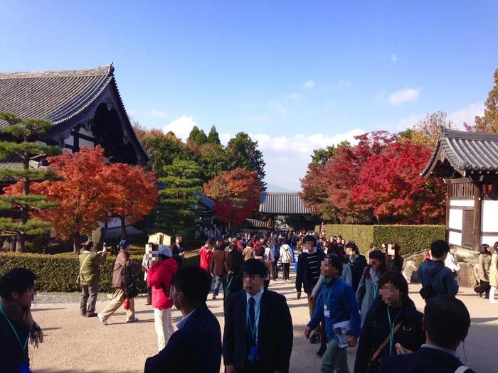 京都　東福寺の紅葉は、やはり圧倒的に美しかった。