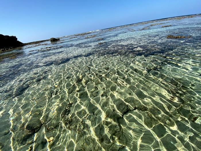 こんな時こそ島旅をリサーチ！鹿児島の楽園【沖永良部島】の知りたいあれこれを徹底リポート2020